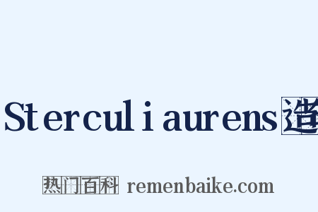 Sterculiaurens造句是什么意思的图片